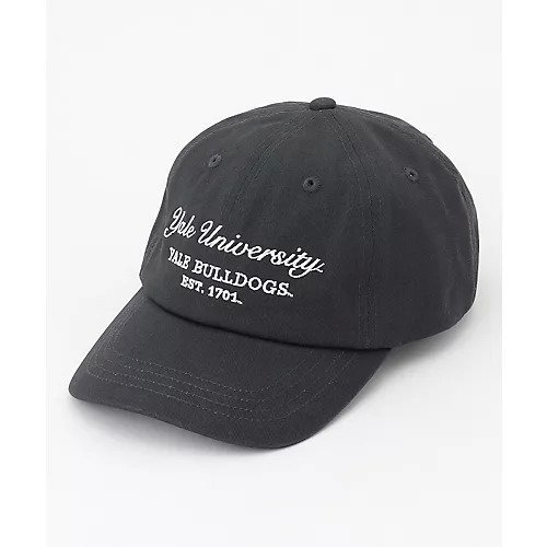 【エニー/ANY】のカレッジコラボキャップ インテリア・キッズ・メンズ・レディースファッション・服の通販 founy(ファニー) https://founy.com/ ファッション Fashion レディースファッション Fashion for Women シンプル Simple, Minimal スウェット / スエット Sweatshirt, Sweatwear |ID: prp329100004671539 ipo3291000000033770405