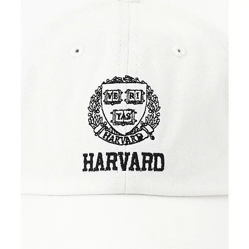 【エニー/ANY】のカレッジコラボキャップ 人気、トレンドファッション・服の通販 founy(ファニー) 　ファッション　Fashion　レディースファッション　Fashion for Women　シンプル　Simple, Minimal　スウェット / スエット　Sweatshirt, Sweatwear　other-2|ID: prp329100004671539 ipo3291000000033770411