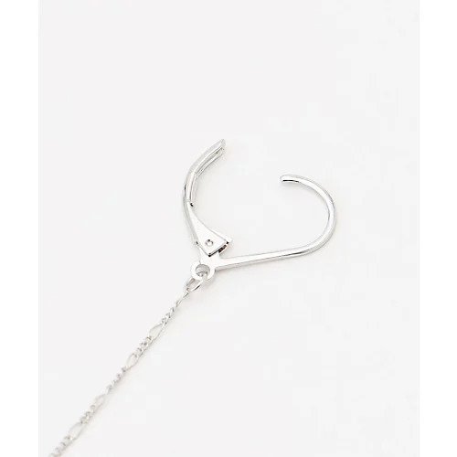 【エニー/ANY】の【WEB限定】ティアドロップピアス(両耳用) 人気、トレンドファッション・服の通販 founy(ファニー) 　ファッション　Fashion　レディースファッション　Fashion for Women　おすすめ　Recommended / Our Picks　ギフト プレゼント　Gift / Present　コンビ　Combo, Combination Style　チェーン　Chain, Chain Strap　フェミニン　Feminine, Girly　フォーマル　Formal, Dressy　メタル　Metal, Metal Parts　エレガント 上品　Elegant　other-2|ID: prp329100004671577 ipo3291000000033770565