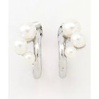 【エニー/ANY】の【WEB限定】パールフープピアス(両耳用) シルバー|ID: prp329100004671594 ipo3291000000033770625