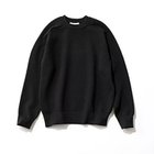 【スローン/SLOANE】の【HAPPY PLUS STORE 水晶玉子】12G天竺 ダブルフェイスクルーネック ブラック|ID:prp329100004709255