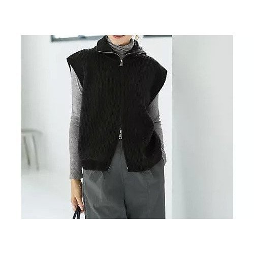 【スタイルデリ/STYLE DELI】のWファスナースタンドネックニットベスト インテリア・キッズ・メンズ・レディースファッション・服の通販 founy(ファニー) 　ファッション　Fashion　レディースファッション　Fashion for Women　アウター　Coat / Outerwear Collection　トップス・カットソー　Cut & Sew Tops　ニット　Knit Tops & Sweaters　ベスト&ジレ / 重ね着スタイル　Vests & Gilets　イエロー　Yellow　カットソー　Cut and Sewn Top　シルバー　Silver, Metallic Silver　ジップ　Zip, Zipper　ジャケット　Jacket, Outerwear　スタンド　Stand Collar, Upright Stand　ストレート　Straight, Straight Cut　スリット　Slit, Slit Detail　ダブル　Double, Double-Breasted　定番　Standard, Basic Item　ノースリーブ　Sleeveless, No-Sleeve　バランス　Balance, Style Balance　ベスト　Vest, Waistcoat　ポケット　Pocket, Pocket Detail　防寒　Cold Protection, Winter-Ready　ミドル　Middle Length, Mid Height　A/W・秋冬　Autumn/Winter　ブラック|ID: prp329100004714087 ipo3291000000034057096