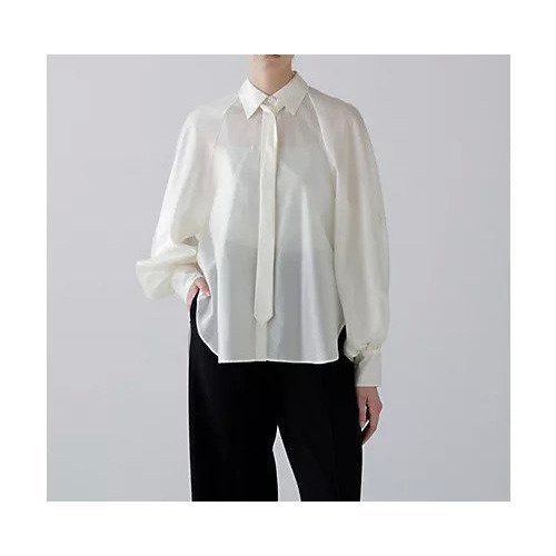 【アドーア/ADORE】のシルキーオーガンブラウス 人気、トレンドファッション・服の通販 founy(ファニー) 　ファッション　Fashion　レディースファッション　Fashion for Women　トップス・カットソー　Cut & Sew Tops　シャツ・ブラウス・オフィスカジュアル　Elegant Blouses & Button-Ups　おすすめ　Recommended / Our Picks　オーガンジー　Organza Fabric　シアー　Sheer, See-Through　スタンダード　Standard, Basic　スリーブ　Sleeve, Long Sleeve / Short Sleeve　フィット　Fit, Slim Fit　モダン　Modern, Contemporary　A/W・秋冬　Autumn/Winter　other-3|ID: prp329100004725058 ipo3291000000034143974