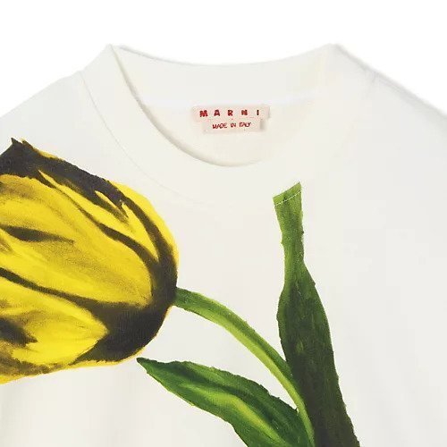 【マルニ/MARNI】のSWEATSHIRT 人気、トレンドファッション・服の通販 founy(ファニー)  ファッション Fashion レディースファッション Fashion for Women トップス・カットソー Cut & Sew Tops シャツ・ブラウス・オフィスカジュアル Elegant Blouses & Button-Ups レディースパーカー・カジュアルフーディー Casual Hoodies & Sweatshirts ロングTシャツ・Tシャツ Longline T-Shirts & Tees スウェット・クルーネックトップス Sweatshirts & Crewnecks / Relaxed Fit Sweat Tops 2025年 2025 2025-2026秋冬・A/W Autumn/Winter 2025–26 AW25–26 ショルダー Shoulder, Shoulder Strap スウェット / スエット Sweatshirt, Sweatwear チューリップ Tube, Tube Top ドロップ Drop Shoulder, Dropped Style フェミニン Feminine, Girly フロント Front, Front Design 洗える Machine Washable other-3|ID: prp329100004752858 ipo3291000000034376131