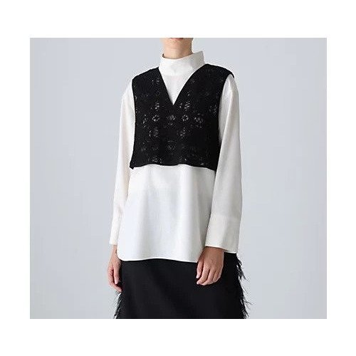 【アドーア/ADORE】のドライタッチジョーゼットブラウス 人気、トレンドファッション・服の通販 founy(ファニー) 　ファッション　Fashion　レディースファッション　Fashion for Women　トップス・カットソー　Cut & Sew Tops　シャツ・ブラウス・オフィスカジュアル　Elegant Blouses & Button-Ups　おすすめ　Recommended / Our Picks　スタンダード　Standard, Basic　ハイネック　High Neck, Mock Neck　ビスチェ　Bustier, Corset Top　フィット　Fit, Slim Fit　レース　Lace, Lace Fabric　A/W・秋冬　Autumn/Winter　other-3|ID: prp329100004757751 ipo3291000000034420153