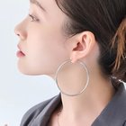 【フィービィー/phoebe】の【金属アレルギー対応】ライトフープビッグピアス/ステンレス/大振り 人気、トレンドファッション・服の通販 founy(ファニー) ファッション Fashion レディースファッション Fashion for Women アクセサリー Fashion Accessories シンプル Simple, Minimal スタイリッシュ Stylish, Fashionable フォーマル Formal, Dressy モチーフ Motif, Design Theme thumbnail シルバー|ID: prp329100004770170 ipo3291000000034555087