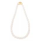 【ジュ キャトル/Ju QUATRE】の淡水パールネックレス 人気、トレンドファッション・服の通販 founy(ファニー) ファッション Fashion レディースファッション Fashion for Women ジュエリー Jewelry ネックレス Necklaces & Pendants ショート Short, Short Length シンプル Simple, Minimal ネックレス Necklace, Pendant Necklace パール Pearl, Pearl Accent エレガント 上品 Elegant thumbnail ゴールド|ID: prp329100004776530 ipo3291000000034627424