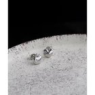 【コレカラ/collecala】の[silver925]ミニりんごピアス〈金属アレルギー対応〉 シルバー|ID: prp329100004791528 ipo3291000000034767306