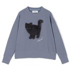 【ミュベール/MUVEIL】のネコ裏毛裏毛プルオーバー 人気、トレンドファッション・服の通販 founy(ファニー) ファッション Fashion レディースファッション Fashion for Women トップス・カットソー Cut & Sew Tops カジュアルプルオーバー・ニットトップス Pullovers & Knit Tops / Casual Pullovers スパンコール Sequins, Sequin Embellishment ネコ Cat, Feline Motif 洗える Machine Washable thumbnail blue|ID: prp329100004809964 ipo3291000000034910183