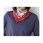 【ヒューマンウーマン/HUMAN WOMAN】のスカーフ 人気、トレンドファッション・服の通販 founy(ファニー) ファッション Fashion レディースファッション Fashion for Women おすすめ Recommended / Our Picks イラスト Illustration シンプル Simple, Minimal スカーフ Scarf, Neckwear ドット Polka Dot, Dot Pattern モチーフ Motif, Design Theme thumbnail レッド|ID: prp329100004820713 ipo3291000000035031424