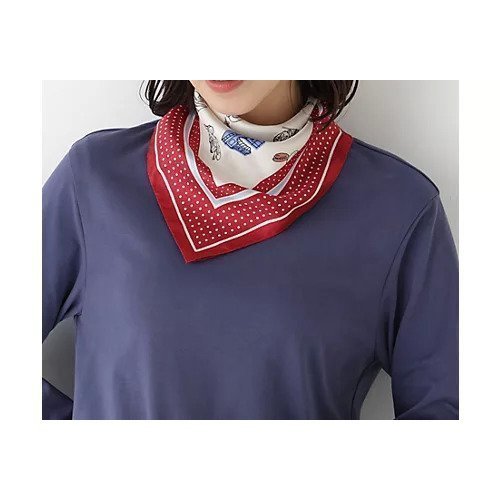 【ヒューマンウーマン/HUMAN WOMAN】のスカーフ インテリア・キッズ・メンズ・レディースファッション・服の通販 founy(ファニー) 　ファッション　Fashion　レディースファッション　Fashion for Women　おすすめ　Recommended / Our Picks　イラスト　Illustration　シンプル　Simple, Minimal　スカーフ　Scarf, Neckwear　ドット　Polka Dot, Dot Pattern　モチーフ　Motif, Design Theme　レッド|ID: prp329100004820713 ipo3291000000035031424