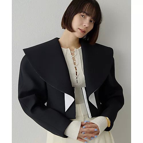 【ウィムガゼット/Whim Gazette】のBIGショールカラージャケット インテリア・キッズ・メンズ・レディースファッション・服の通販 founy(ファニー) 　ファッション　Fashion　レディースファッション　Fashion for Women　アウター　Coat / Outerwear Collection　レディースジャケット・軽アウター　Jackets　2026年　2026　ショール　Shawl, Wrap　ジャケット　Jacket, Outerwear　フォルム　Silhouette, Form　ボンディング　Bonding, Bonded Fabric　ブラック|ID: prp329100004837745 ipo3291000000035248296