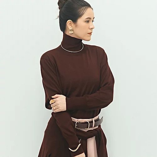 【ノーリーズ/NOLLEY'S】の《手洗い可能》《アンサンブル対応》18G天竺ハイネックプルオーバーニット インテリア・キッズ・メンズ・レディースファッション・服の通販 founy(ファニー) 　ファッション　Fashion　レディースファッション　Fashion for Women　トップス・カットソー　Cut & Sew Tops　ニット　Knit Tops & Sweaters　アンサンブルニット　Knit Ensembles & Twin Sets　カジュアルプルオーバー・ニットトップス　Pullovers & Knit Tops / Casual Pullovers　アンサンブル　Ensemble Set　カーディガン　Cardigan, Knitwear　ドレープ　Drape, Draping Fabric　ベーシック　Basic, Essential　2025年　2025　2025-2026秋冬・A/W　Autumn/Winter 2025–26 AW25–26　ブラウン|ID: prp329100004838935 ipo3291000000035311522