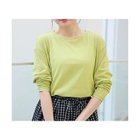 【エニー/ANY】のシア―ラウンドネックTシャツ アップルグリーン|ID: prp329100004839077 ipo3291000000036304895