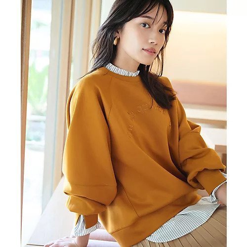 【エニー/ANY】のエニィファンクションハイネックブラウス 人気、トレンドファッション・服の通販 founy(ファニー) 　ファッション　Fashion　レディースファッション　Fashion for Women　トップス・カットソー　Cut & Sew Tops　シャツ・ブラウス・オフィスカジュアル　Elegant Blouses & Button-Ups　インナー　Innerwear　抗菌　Antibacterial, Bacteria-Resistant　スウェット / スエット　Sweatshirt, Sweatwear　ストライプ　Stripe, Striped Pattern　デニム　Denim, Jeans Material　定番　Standard, Basic Item　ハイネック　High Neck, Mock Neck　フリル　Frill, Ruffle　ベーシック　Basic, Essential　リラックス　Relax, Relaxed Fit　おすすめ　Recommended / Our Picks　other-3|ID: prp329100004839393 ipo3291000000035311588