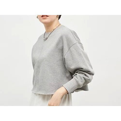 【ノーリーズ/NOLLEY'S】のショート丈裏毛スウェット インテリア・キッズ・メンズ・レディースファッション・服の通販 founy(ファニー) 　ファッション　Fashion　レディースファッション　Fashion for Women　トップス・カットソー　Cut & Sew Tops　レディースパーカー・カジュアルフーディー　Casual Hoodies & Sweatshirts　スウェット・クルーネックトップス　Sweatshirts & Crewnecks / Relaxed Fit Sweat Tops　2025年　2025　2025-2026秋冬・A/W　Autumn/Winter 2025–26 AW25–26　おすすめ　Recommended / Our Picks　カットソー　Cut and Sewn Top　ショート　Short, Short Length　スウェット / スエット　Sweatshirt, Sweatwear　バランス　Balance, Style Balance　ロング　Long, Long-Length　ライトグレー|ID: prp329100004845618 ipo3291000000035339256