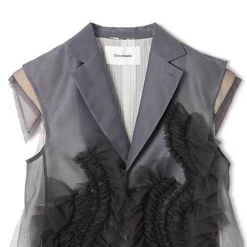 【チカ キサダ/CHIKA KISADA】のチュールベスト 人気、トレンドファッション・服の通販 founy(ファニー) 　ファッション　Fashion　レディースファッション　Fashion for Women　アウター　Coat / Outerwear Collection　トップス・カットソー　Cut & Sew Tops　ベスト&ジレ / 重ね着スタイル　Vests & Gilets　シアー　Sheer, See-Through　パターン　Pattern, Design Print　モダン　Modern, Contemporary　other-3|ID: prp329100004851820 ipo3291000000035850747