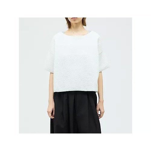 【ミズイロ インド/mizuiro ind】のショートワイドプルオーバー インテリア・キッズ・メンズ・レディースファッション・服の通販 founy(ファニー) 　ファッション　Fashion　レディースファッション　Fashion for Women　トップス・カットソー　Cut & Sew Tops　カジュアルプルオーバー・ニットトップス　Pullovers & Knit Tops / Casual Pullovers　コンパクト　Compact, Small Size　シアー　Sheer, See-Through　ショート　Short, Short Length　ストレッチ　Stretch, Stretchy Fabric　ベスト　Vest, Waistcoat　ワイド　Wide, Wide Fit　夏　Summer　オフホワイト|ID: prp329100004855470 ipo3291000000035781877