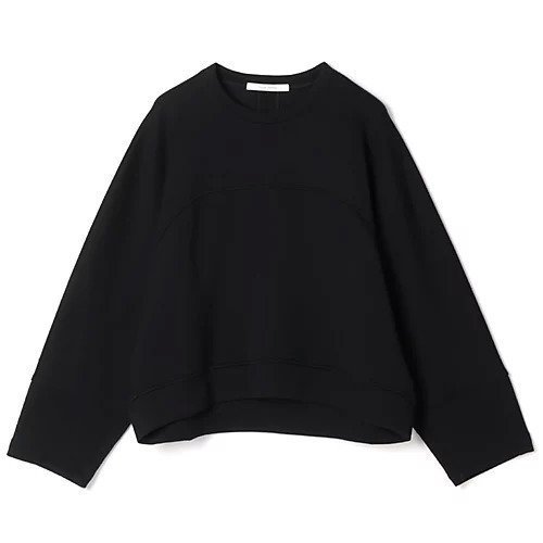 【プレインピープル/PLAIN PEOPLE】のコットンナイロンダブルスウェットプルオーバー インテリア・キッズ・メンズ・レディースファッション・服の通販 founy(ファニー) 　ファッション　Fashion　レディースファッション　Fashion for Women　トップス・カットソー　Cut & Sew Tops　レディースパーカー・カジュアルフーディー　Casual Hoodies & Sweatshirts　カジュアルプルオーバー・ニットトップス　Pullovers & Knit Tops / Casual Pullovers　スウェット・クルーネックトップス　Sweatshirts & Crewnecks / Relaxed Fit Sweat Tops　カットソー　Cut and Sewn Top　洗える　Machine Washable　ブラック|ID: prp329100004860702 ipo3291000000036050980
