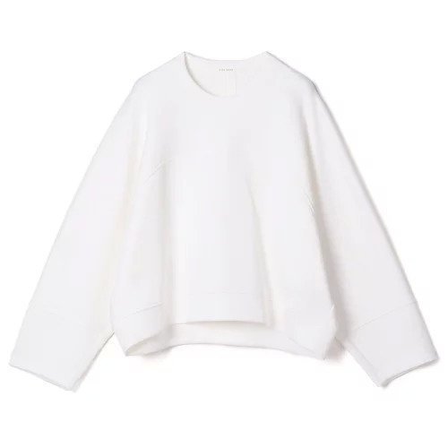 【プレインピープル/PLAIN PEOPLE】のコットンナイロンダブルスウェットプルオーバー インテリア・キッズ・メンズ・レディースファッション・服の通販 founy(ファニー) 　ファッション　Fashion　レディースファッション　Fashion for Women　トップス・カットソー　Cut & Sew Tops　レディースパーカー・カジュアルフーディー　Casual Hoodies & Sweatshirts　カジュアルプルオーバー・ニットトップス　Pullovers & Knit Tops / Casual Pullovers　スウェット・クルーネックトップス　Sweatshirts & Crewnecks / Relaxed Fit Sweat Tops　カットソー　Cut and Sewn Top　洗える　Machine Washable　ホワイト|ID: prp329100004860702 ipo3291000000036050981