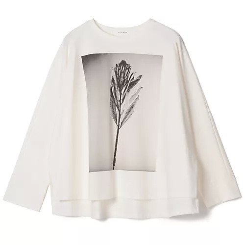 【プレインピープル/PLAIN PEOPLE】のフォトプリントドルマンスリーブロングT-シャツ 人気、トレンドファッション・服の通販 founy(ファニー) ファッション Fashion レディースファッション Fashion for Women トップス・カットソー Cut & Sew Tops シャツ・ブラウス・オフィスカジュアル Elegant Blouses & Button-Ups フロント Front, Front Design プリント Print, Printed Pattern 洗える Machine Washable other-1|ID: prp329100004860712 ipo3291000000036051005