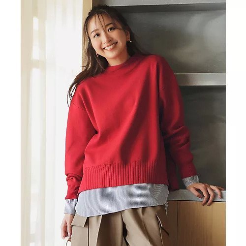 【エニー/ANY】の【新色追加】ハイネックデイリーニット インテリア・キッズ・メンズ・レディースファッション・服の通販 founy(ファニー) 　ファッション　Fashion　レディースファッション　Fashion for Women　トップス・カットソー　Cut & Sew Tops　ニット　Knit Tops & Sweaters　洗える　Machine Washable　ストレッチ　Stretch, Stretchy Fabric　スリット　Slit, Slit Detail　タートルネック　Turtleneck, High Neck　ボトム　Bottoms, Lower Wear　ボトルネック　Bottle Neck, Mock Neck　おすすめ　Recommended / Our Picks　レッド|ID: prp329100004869428 ipo3291000000036289591