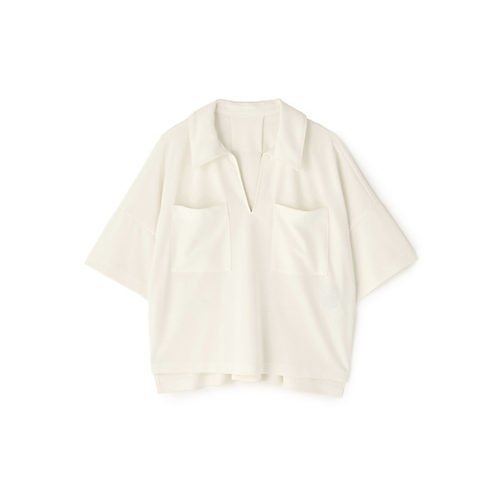 【アドーア/ADORE】のダブルジャージーカットソー 人気、トレンドファッション・服の通販 founy(ファニー) 　ファッション　Fashion　レディースファッション　Fashion for Women　トップス・カットソー　Cut & Sew Tops　カットソー・ベーシックTシャツ　Cut-and-Sewn Tops / Stretch Tees & Basics　おすすめ　Recommended / Our Picks　ショート　Short, Short Length　スタンダード　Standard, Basic　セットアップ　Set-Up, Coordinated Outfit　ドレープ　Drape, Draping Fabric　フィット　Fit, Slim Fit　ボックス　Boxy, Box Shape　ルーズ　Loose, Oversized　夏　Summer　春　Spring　S/S・春夏　SS, Spring/Summer, Warm Season　 other-1|ID: prp329100004871584 ipo3291000000036321576