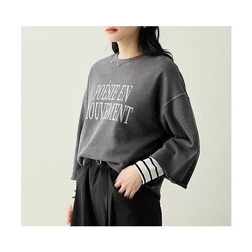 【エニー/ANY】のピグメントロゴスウェット インテリア・キッズ・メンズ・レディースファッション・服の通販 founy(ファニー) 　ファッション　Fashion　レディースファッション　Fashion for Women　トップス・カットソー　Cut & Sew Tops　レディースパーカー・カジュアルフーディー　Casual Hoodies & Sweatshirts　スウェット・クルーネックトップス　Sweatshirts & Crewnecks / Relaxed Fit Sweat Tops　アクセサリー　Fashion Accessories　インナー　Innerwear　ショート　Short, Short Length　長袖　Long Sleeve, Full Sleeve　おすすめ　Recommended / Our Picks　スレート|ID: prp329100004877634 ipo3291000000036385489