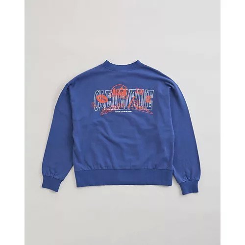 【ザシンゾーン/THE Shinzone】のCLEMENTINE SWEATSHIRT 人気、トレンドファッション・服の通販 founy(ファニー) ファッション Fashion レディースファッション Fashion for Women トップス・カットソー Cut & Sew Tops シャツ・ブラウス・オフィスカジュアル Elegant Blouses & Button-Ups レディースパーカー・カジュアルフーディー Casual Hoodies & Sweatshirts ロングTシャツ・Tシャツ Longline T-Shirts & Tees スウェット・クルーネックトップス Sweatshirts & Crewnecks / Relaxed Fit Sweat Tops アメリカン American Style インナー Innerwear スウェット / スエット Sweatshirt, Sweatwear プリント Print, Printed Pattern other-1|ID: prp329100004879608 ipo3291000000036410956