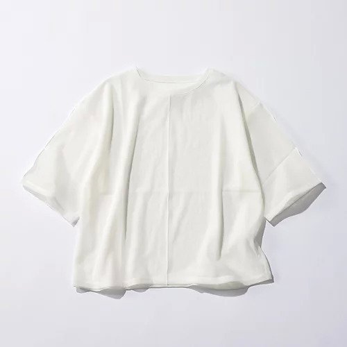 【スアデオ/suadeo】のシアー切替ワイドTシャツ 大人の最旬トレンドファッション＆コーディネート founy(ファウニー) 　ファッション　Fashion　レディースファッション　Fashion for Women　トップス・カットソー　Cut & Sew Tops　シャツ・ブラウス・オフィスカジュアル　Elegant Blouses & Button-Ups　ロングTシャツ・Tシャツ　Longline T-Shirts & Tees　オーガンジー　Organza Fabric　カットソー　Cut and Sewn Top　シアー　Sheer, See-Through　ストレッチ　Stretch, Stretchy Fabric　ビンテージ　Vintage, Retro Style　ワイド　Wide, Wide Fit　切替　Switching, Contrast Panel　洗える　Machine Washable　other-2|ID: prp329100004879677 ipo3291000000037252773