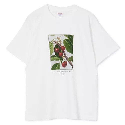 【スアデオ/suadeo】のフルーツプリントTシャツ インテリア・キッズ・メンズ・レディースファッション・服の通販 founy(ファニー) 　ファッション　Fashion　レディースファッション　Fashion for Women　トップス・カットソー　Cut & Sew Tops　シャツ・ブラウス・オフィスカジュアル　Elegant Blouses & Button-Ups　ロングTシャツ・Tシャツ　Longline T-Shirts & Tees　イタリア　Italy　洗える　Machine Washable　コイン　Coin, Coin Design　チェリー　Cherry, Cherry Pattern　なめらか　Smooth, Silky Texture　バランス　Balance, Style Balance　ピーチ　Peach, Soft Touch　プリント　Print, Printed Pattern　リゾート　Resort, Vacation Style　夏　Summer　旅行　Travel　チェリー|ID: prp329100004898289 ipo3291000000036643824