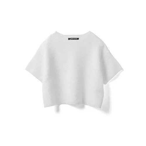 【ミズイロ インド/mizuiro ind】のショートワイドプルオーバー 人気、トレンドファッション・服の通販 founy(ファニー) 　ファッション　Fashion　レディースファッション　Fashion for Women　トップス・カットソー　Cut & Sew Tops　カジュアルプルオーバー・ニットトップス　Pullovers & Knit Tops / Casual Pullovers　コンパクト　Compact, Small Size　シアー　Sheer, See-Through　ショート　Short, Short Length　ストレッチ　Stretch, Stretchy Fabric　ベスト　Vest, Waistcoat　ワイド　Wide, Wide Fit　夏　Summer　other-2|ID: prp329100004927401 ipo3291000000036972860