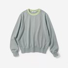 【スローン/SLOANE】の【HPS別注】18G 二重臼 ポリエステル キュプラ コットン クルーネック グレー×ライムグリーン|ID:prp329100004935640