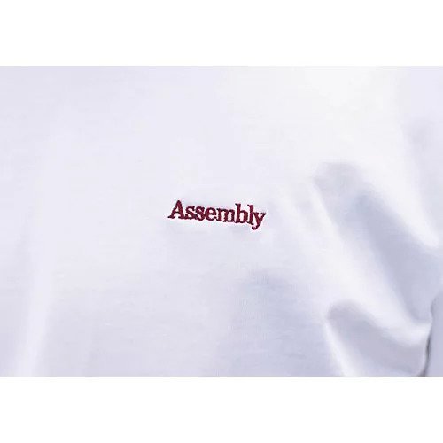 【その他のブランド/Other】の【SPURSHOP 横浪修】 Assembly Tシャツ snow_012 人気、トレンドファッション・服の通販 founy(ファニー) 　ファッション　Fashion　レディースファッション　Fashion for Women　トップス・カットソー　Cut & Sew Tops　シャツ・ブラウス・オフィスカジュアル　Elegant Blouses & Button-Ups　ロングTシャツ・Tシャツ　Longline T-Shirts & Tees　ジャケット　Jacket, Outerwear　なめらか　Smooth, Silky Texture　プリント　Print, Printed Pattern　ベーシック　Basic, Essential　別注　Limited Edition, Custom Order　other-2|ID: prp329100004942736 ipo3291000000037097471