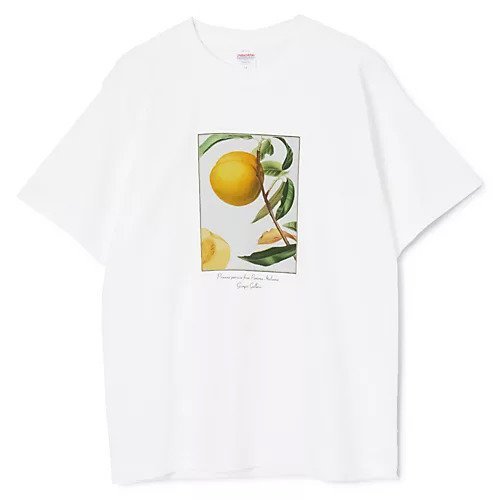 【スアデオ/suadeo】のフルーツプリントTシャツ インテリア・キッズ・メンズ・レディースファッション・服の通販 founy(ファウニー) https://founy.com/ ファッション Fashion レディースファッション Fashion for Women トップス・カットソー Cut & Sew Tops シャツ・ブラウス・オフィスカジュアル Elegant Blouses & Button-Ups ロングTシャツ・Tシャツ Longline T-Shirts & Tees イタリア Italy 洗える Machine Washable コイン Coin, Coin Design チェリー Cherry, Cherry Pattern なめらか Smooth, Silky Texture バランス Balance, Style Balance ピーチ Peach, Soft Touch プリント Print, Printed Pattern リゾート Resort, Vacation Style 夏 Summer 旅行 Travel |ID: prp329100004949022 ipo3291000000037245059