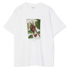 【スアデオ/suadeo】のフルーツプリントTシャツ チェリー|ID: prp329100004949022 ipo3291000000037245061