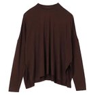 【スローン/SLOANE】のウール天竺 ワイドシルエット長袖Tシャツ 人気、トレンドファッション・服の通販 founy(ファニー) ファッション Fashion レディースファッション Fashion for Women トップス・カットソー Cut & Sew Tops シャツ・ブラウス・オフィスカジュアル Elegant Blouses & Button-Ups ロングTシャツ・Tシャツ Longline T-Shirts & Tees カットソー Cut and Sewn Top ストレッチ Stretch, Stretchy Fabric リラックス Relax, Relaxed Fit ワイド Wide, Wide Fit エレガント 上品 Elegant 洗える Machine Washable 長袖 Long Sleeve, Full Sleeve thumbnail ブラウン|ID: prp329100004961007 ipo3291000000037221327