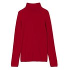 【スアデオ/suadeo】のシルク混ハイネックニット レッド|ID: prp329100004961055 ipo3291000000037221564