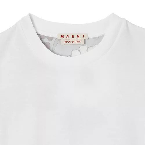 【マルニ/MARNI】のT-SHIRT 人気、トレンドファッション・服の通販 founy(ファニー) 　ファッション　Fashion　レディースファッション　Fashion for Women　トップス・カットソー　Cut & Sew Tops　シャツ・ブラウス・オフィスカジュアル　Elegant Blouses & Button-Ups　ロングTシャツ・Tシャツ　Longline T-Shirts & Tees　ワイド　Wide, Wide Fit　other-3|ID: prp329100004961273 ipo3291000000037222634
