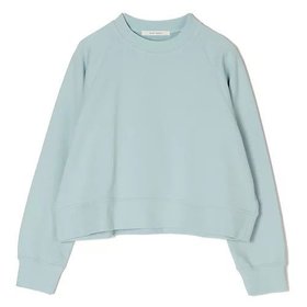 【プレインピープル/PLAIN PEOPLE】 ソフトウラケスウェットシャツ人気、トレンドファッション・服の通販 founy(ファニー) ファッション Fashion レディースファッション Fashion for Women トップス・カットソー Cut & Sew Tops シャツ・ブラウス・オフィスカジュアル Elegant Blouses & Button-Ups レディースパーカー・カジュアルフーディー Casual Hoodies & Sweatshirts スウェット・クルーネックトップス Sweatshirts & Crewnecks / Relaxed Fit Sweat Tops コンパクト Compact, Small Size 洗える Machine Washable |ID:prp329100004961471