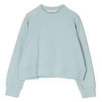 【プレインピープル/PLAIN PEOPLE】のソフトウラケスウェットシャツ 人気、トレンドファッション・服の通販 founy(ファニー) ファッション Fashion レディースファッション Fashion for Women トップス・カットソー Cut & Sew Tops シャツ・ブラウス・オフィスカジュアル Elegant Blouses & Button-Ups レディースパーカー・カジュアルフーディー Casual Hoodies & Sweatshirts スウェット・クルーネックトップス Sweatshirts & Crewnecks / Relaxed Fit Sweat Tops コンパクト Compact, Small Size 洗える Machine Washable |ID:prp329100004961471