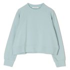 【プレインピープル/PLAIN PEOPLE】のソフトウラケスウェットシャツ 人気、トレンドファッション・服の通販 founy(ファニー) ファッション Fashion レディースファッション Fashion for Women トップス・カットソー Cut & Sew Tops シャツ・ブラウス・オフィスカジュアル Elegant Blouses & Button-Ups レディースパーカー・カジュアルフーディー Casual Hoodies & Sweatshirts スウェット・クルーネックトップス Sweatshirts & Crewnecks / Relaxed Fit Sweat Tops コンパクト Compact, Small Size 洗える Machine Washable thumbnail ライトブルー|ID: prp329100004961471 ipo3291000000037223655