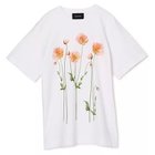 【シモーン ロシャ/SIMONE ROCHA】のPOPPY FIELD PRINT T-SHIRT WHITE|ID: prp329100004961580 ipo3291000000037224191