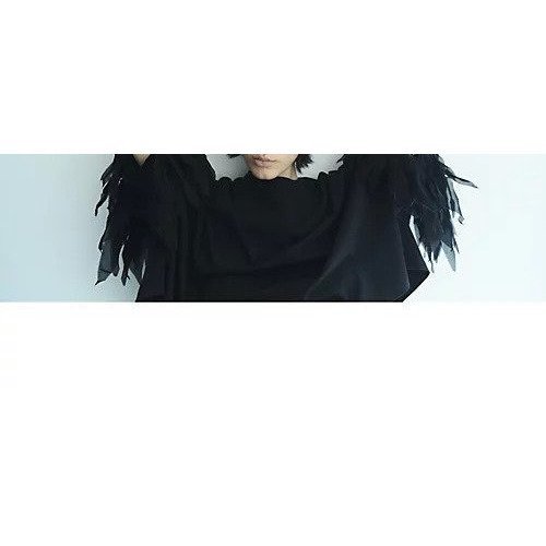 【アユーシ/AAYUSHI】のフェザーフリルカットソー 人気、トレンドファッション・服の通販 founy(ファニー) 　ファッション　Fashion　レディースファッション　Fashion for Women　トップス・カットソー　Cut & Sew Tops　カットソー・ベーシックTシャツ　Cut-and-Sewn Tops / Stretch Tees & Basics　洗える　Machine Washable　カットソー　Cut and Sewn Top　ショルダー　Shoulder, Shoulder Strap　シンプル　Simple, Minimal　スラックス　Slacks, Dress Pants　デニム　Denim, Jeans Material　ドロップ　Drop Shoulder, Dropped Style　バランス　Balance, Style Balance　フェザー　Feather, Feather Detail　フリル　Frill, Ruffle　ボックス　Boxy, Box Shape　おすすめ　Recommended / Our Picks　other-2|ID: prp329100004961801 ipo3291000000037225389