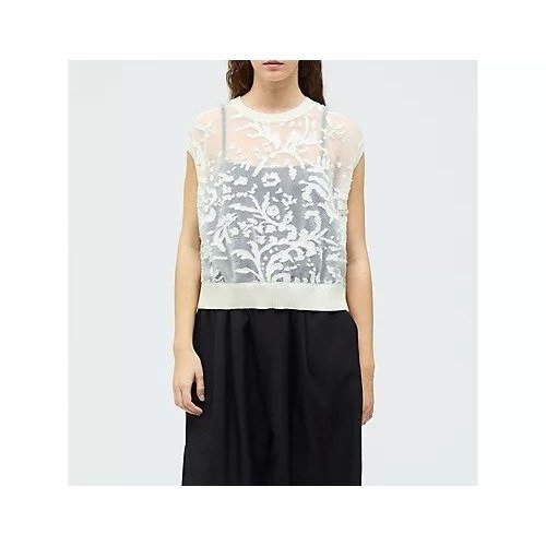 【ミズイロ インド/mizuiro ind】のメッシュ刺繍ショートベスト インテリア・キッズ・メンズ・レディースファッション・服の通販 founy(ファニー) 　ファッション　Fashion　レディースファッション　Fashion for Women　アウター　Coat / Outerwear Collection　トップス・カットソー　Cut & Sew Tops　ベスト&ジレ / 重ね着スタイル　Vests & Gilets　インナー　Innerwear　カーディガン　Cardigan, Knitwear　ショート　Short, Short Length　ベスト　Vest, Waistcoat　メッシュ　Mesh, Net Fabric　エレガント 上品　Elegant　夏　Summer　春　Spring　アイボリー|ID: prp329100004961906 ipo3291000000037226024