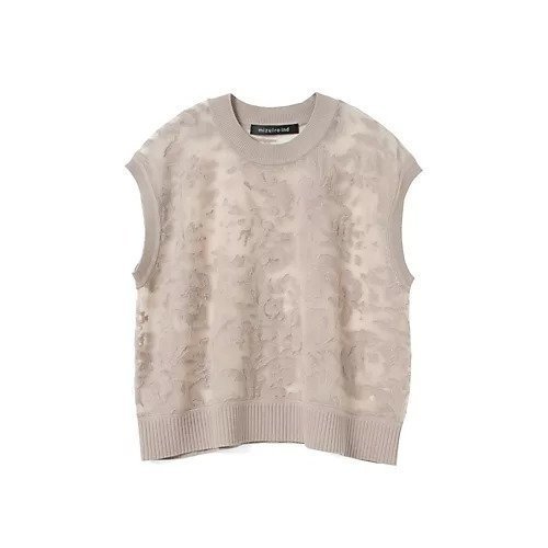 【ミズイロ インド/mizuiro ind】のメッシュ刺繍ショートベスト インテリア・キッズ・メンズ・レディースファッション・服の通販 founy(ファニー) 　ファッション　Fashion　レディースファッション　Fashion for Women　アウター　Coat / Outerwear Collection　トップス・カットソー　Cut & Sew Tops　ベスト&ジレ / 重ね着スタイル　Vests & Gilets　インナー　Innerwear　カーディガン　Cardigan, Knitwear　ショート　Short, Short Length　ベスト　Vest, Waistcoat　メッシュ　Mesh, Net Fabric　エレガント 上品　Elegant　夏　Summer　春　Spring　ベージュ|ID: prp329100004961906 ipo3291000000037226025