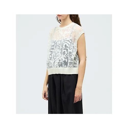 【ミズイロ インド/mizuiro ind】のメッシュ刺繍ショートベスト 人気、トレンドファッション・服の通販 founy(ファニー) 　ファッション　Fashion　レディースファッション　Fashion for Women　アウター　Coat / Outerwear Collection　トップス・カットソー　Cut & Sew Tops　ベスト&ジレ / 重ね着スタイル　Vests & Gilets　インナー　Innerwear　カーディガン　Cardigan, Knitwear　ショート　Short, Short Length　ベスト　Vest, Waistcoat　メッシュ　Mesh, Net Fabric　エレガント 上品　Elegant　夏　Summer　春　Spring　other-2|ID: prp329100004961906 ipo3291000000037226026