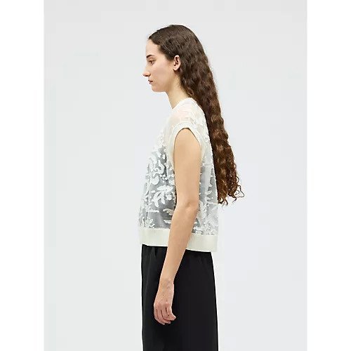 【ミズイロ インド/mizuiro ind】のメッシュ刺繍ショートベスト 人気、トレンドファッション・服の通販 founy(ファニー) 　ファッション　Fashion　レディースファッション　Fashion for Women　アウター　Coat / Outerwear Collection　トップス・カットソー　Cut & Sew Tops　ベスト&ジレ / 重ね着スタイル　Vests & Gilets　インナー　Innerwear　カーディガン　Cardigan, Knitwear　ショート　Short, Short Length　ベスト　Vest, Waistcoat　メッシュ　Mesh, Net Fabric　エレガント 上品　Elegant　夏　Summer　春　Spring　other-3|ID: prp329100004961906 ipo3291000000037226027