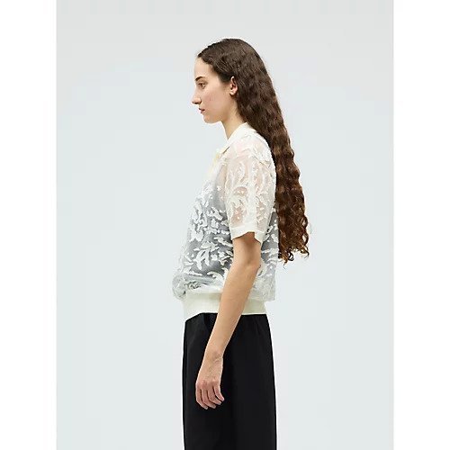 【ミズイロ インド/mizuiro ind】のメッシュ刺繍ポロプルオーバー 大人の最旬トレンドファッション＆コーディネート founy(ファウニー) 　ファッション　Fashion　レディースファッション　Fashion for Women　トップス・カットソー　Cut & Sew Tops　カジュアルプルオーバー・ニットトップス　Pullovers & Knit Tops / Casual Pullovers　インナー　Innerwear　カーディガン　Cardigan, Knitwear　ショート　Short, Short Length　ベスト　Vest, Waistcoat　メッシュ　Mesh, Net Fabric　エレガント 上品　Elegant　夏　Summer　春　Spring　other-3|ID: prp329100004963795 ipo3291000000037244351