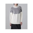 【アドーア/ADORE】のジオメトリックニットトップス エクリュxグレー|ID: prp329100004964238 ipo3291000000037250219